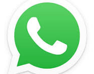WhatsApp Icon